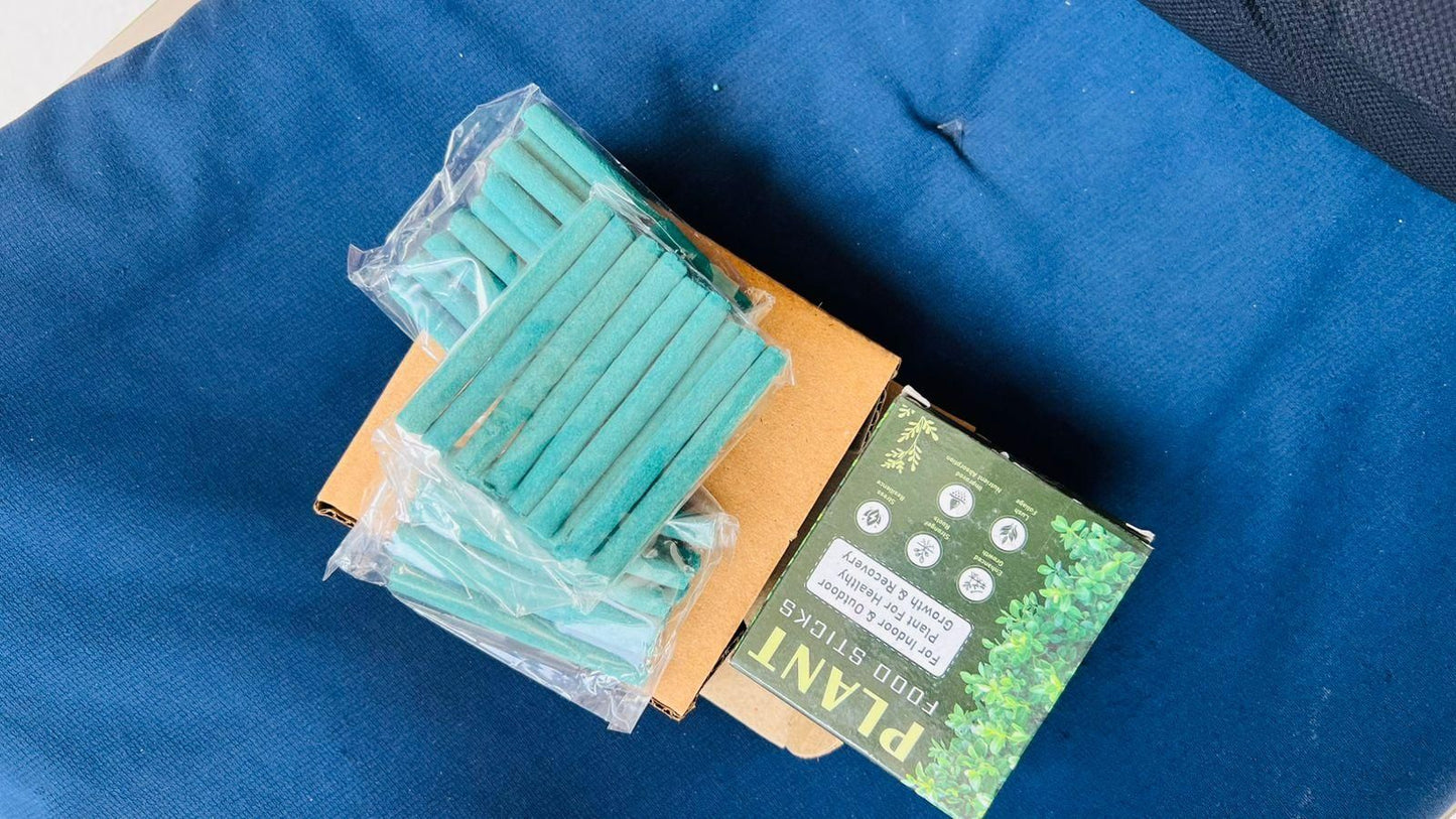 Plant Food Sticks Pack of 1