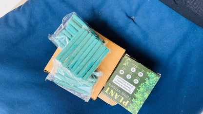 Plant Food Sticks Pack of 1