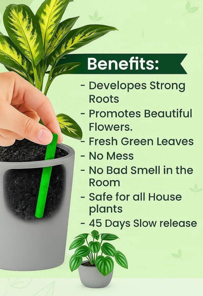 Plant Food Sticks Pack of 1